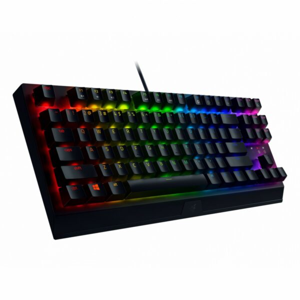 کیبورد گیمینگ ریزر Razer Blackwidow V3 Tenkeyless